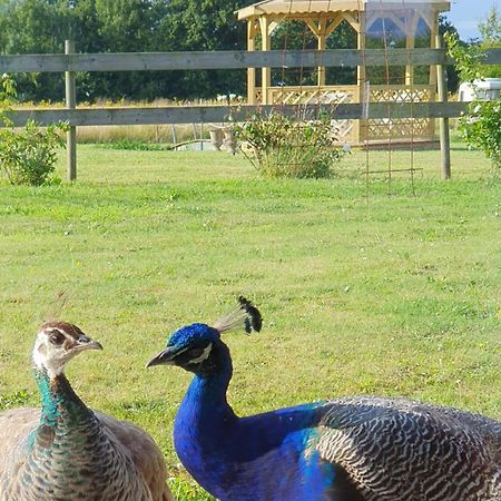 Bed and Breakfast La Ferme De Lec'H Hameury Plestin-les-Grèves Exterior foto