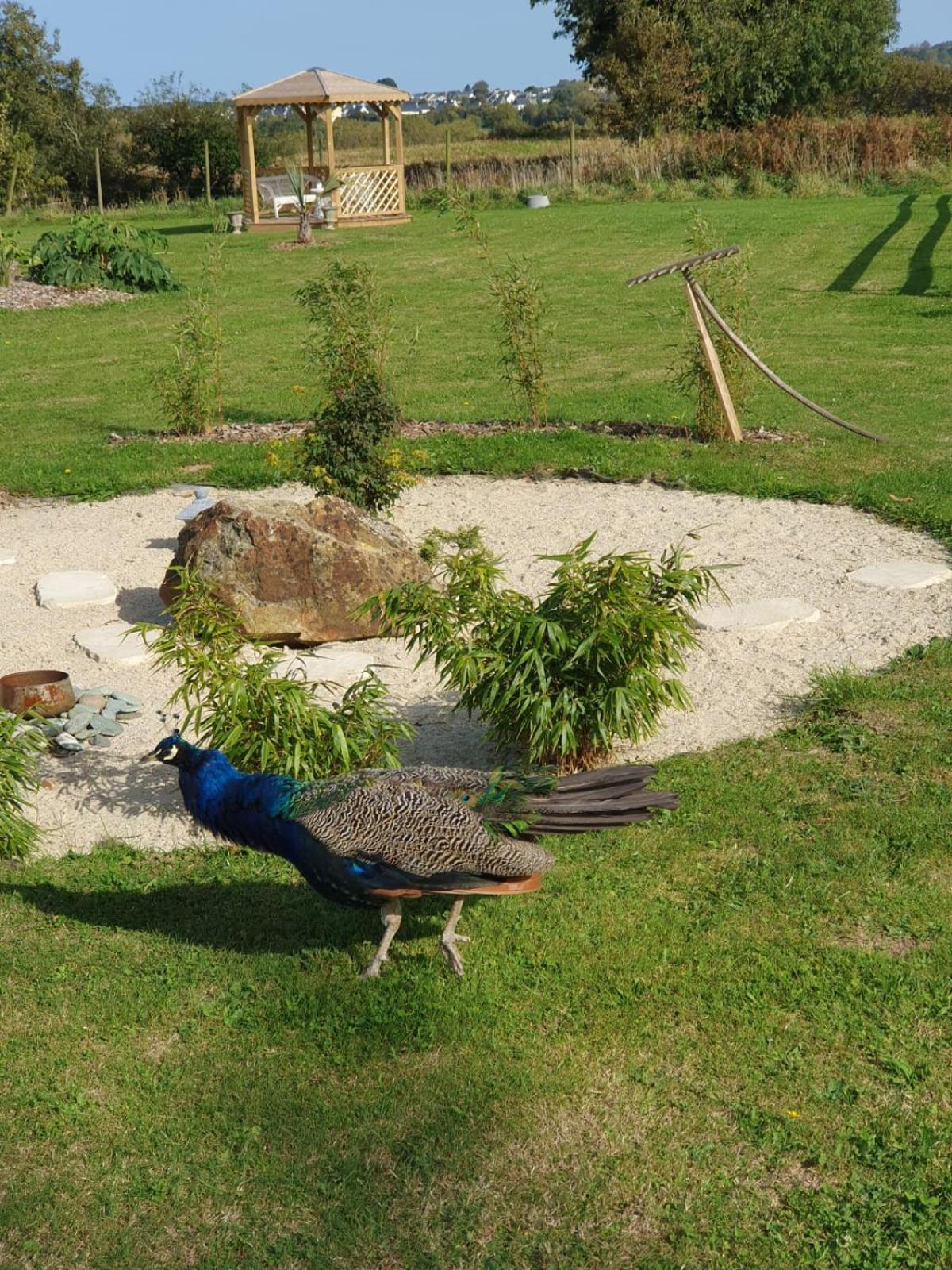 Bed and Breakfast La Ferme De Lec'H Hameury Plestin-les-Grèves Exterior foto